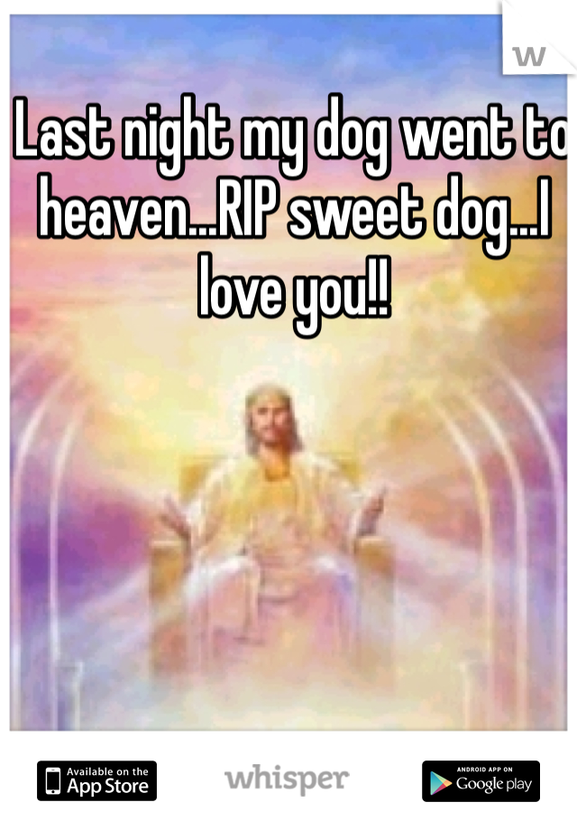 Last night my dog went to heaven...RIP sweet dog...I love you!! 