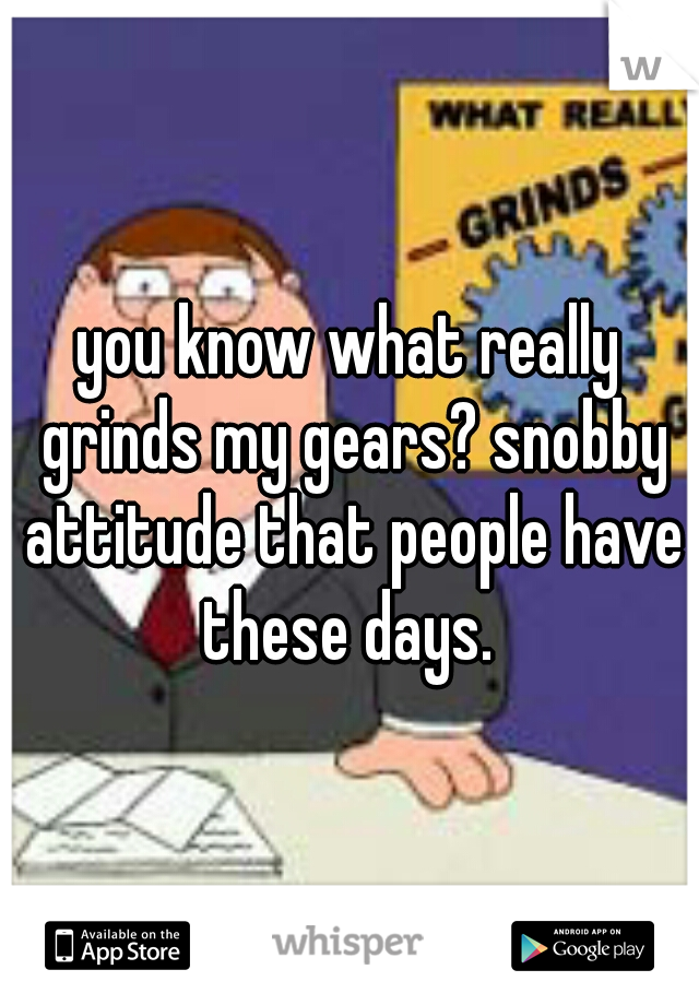 you know what really grinds my gears? snobby attitude that people have these days. 