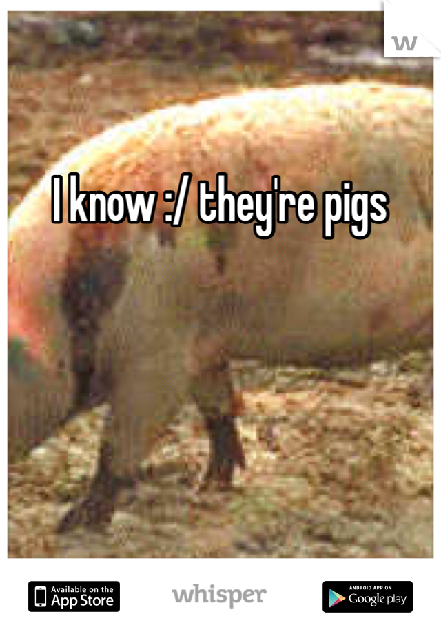 I know :/ they're pigs 