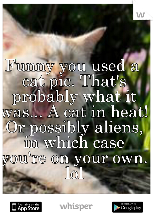 Funny you used a cat pic. That's probably what it was... A cat in heat! Or possibly aliens, in which case you're on your own. lol