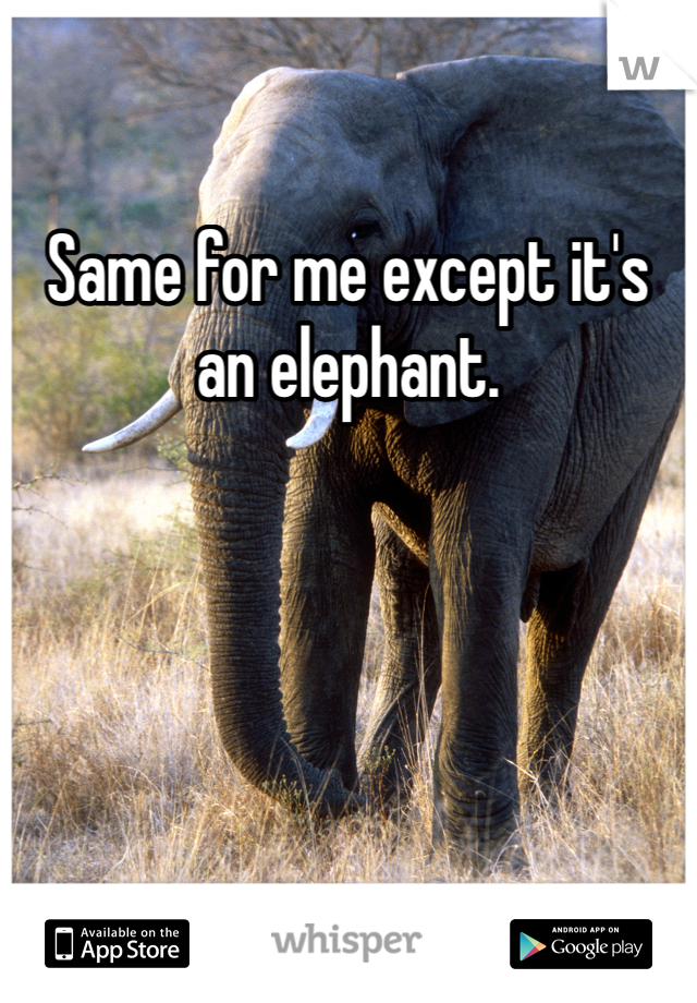 Same for me except it's an elephant. 