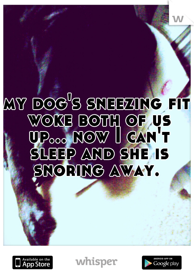 my dog's sneezing fit woke both of us up... now I can't sleep and she is snoring away. 