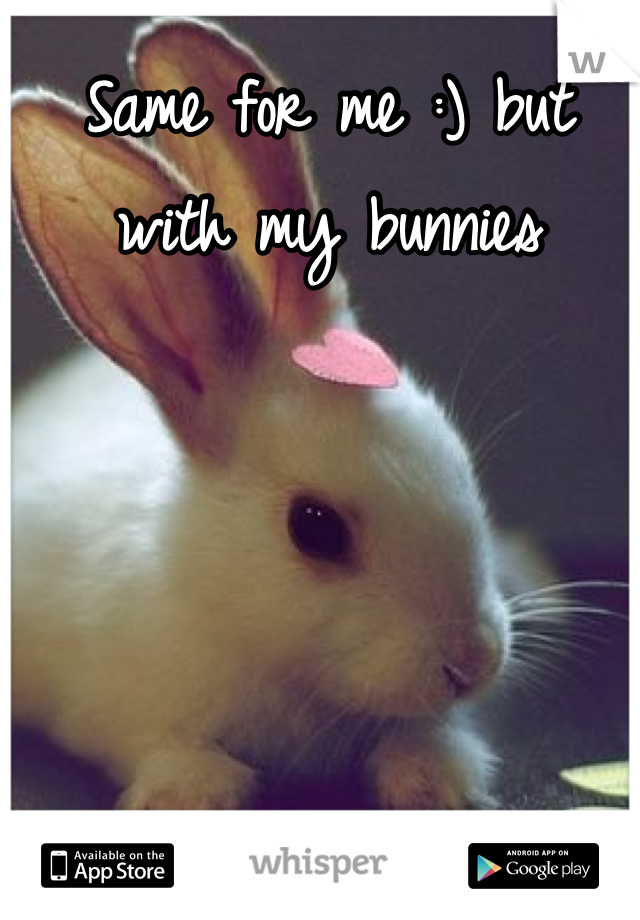 Same for me :) but with my bunnies