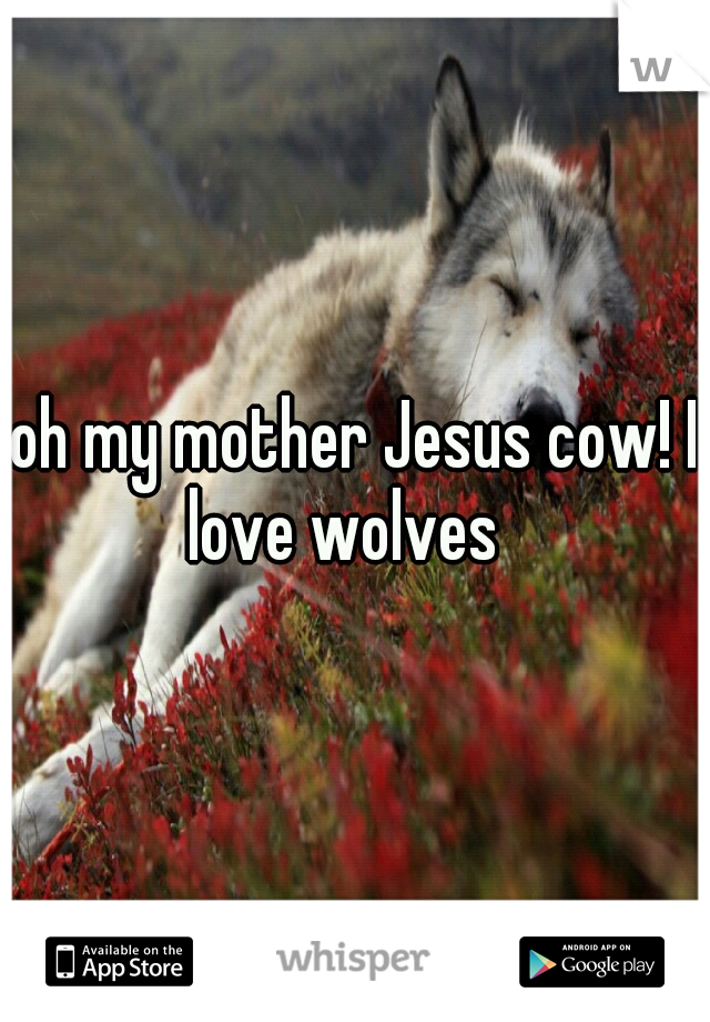 oh my mother Jesus cow! I love wolves
