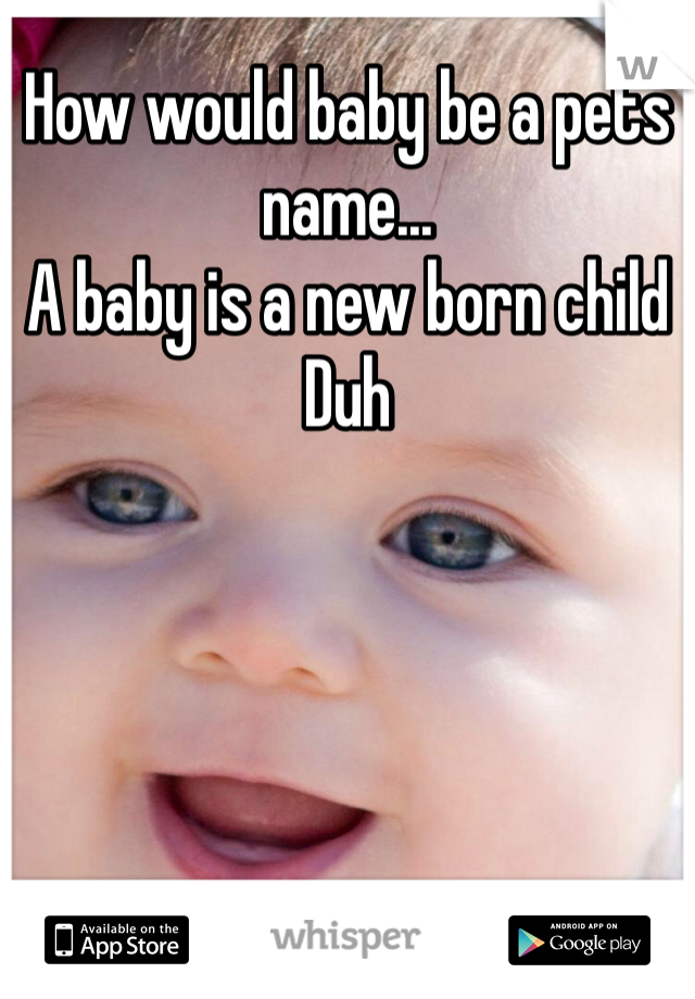 How would baby be a pets name... 
A baby is a new born child
Duh