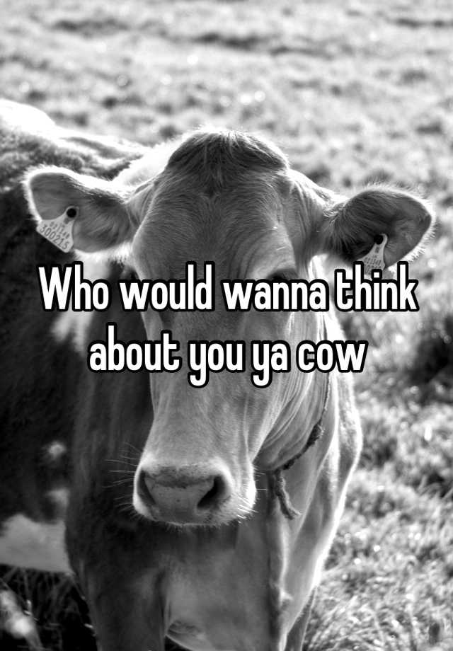 Who would wanna think about you ya cow