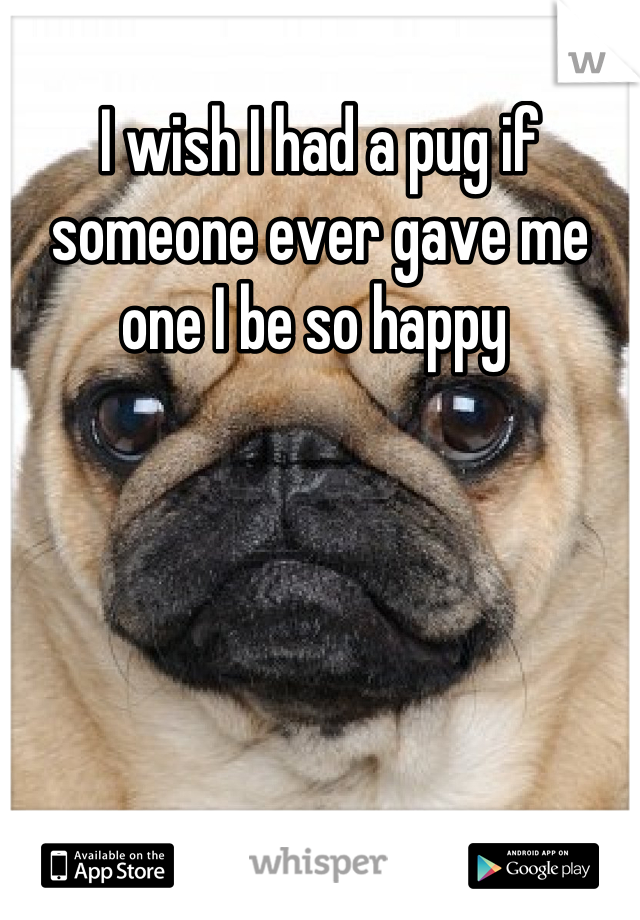 I wish I had a pug if someone ever gave me one I be so happy 