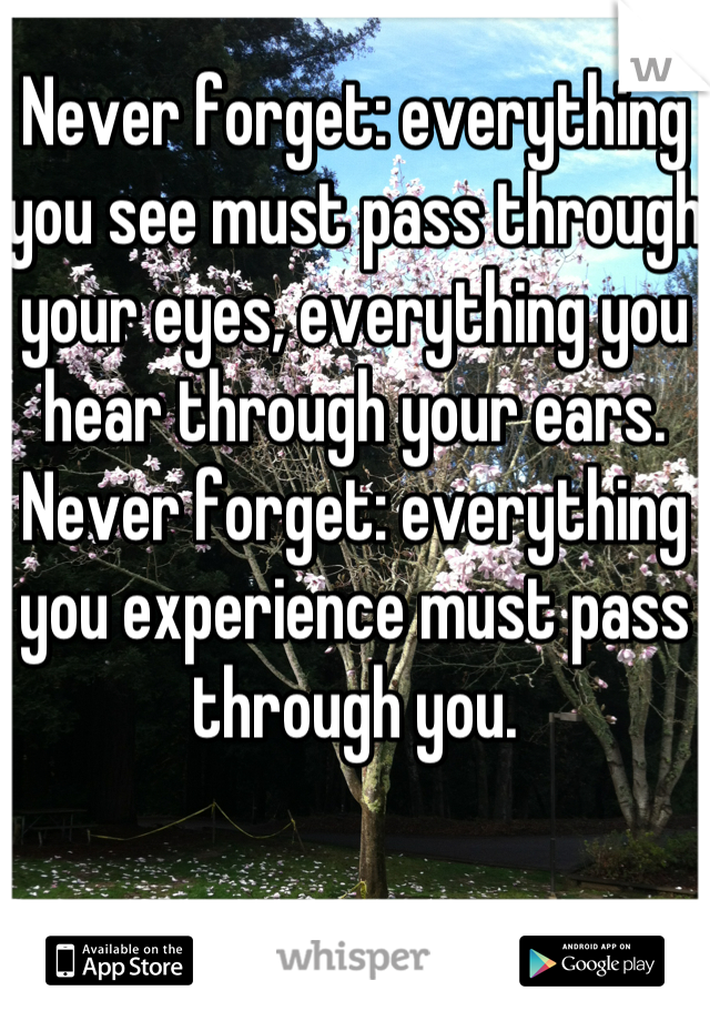 Never forget: everything you see must pass through your eyes, everything you hear through your ears. Never forget: everything you experience must pass through you.