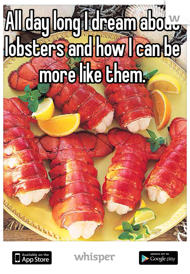 All day long I dream about lobsters and how I can be more like them. 