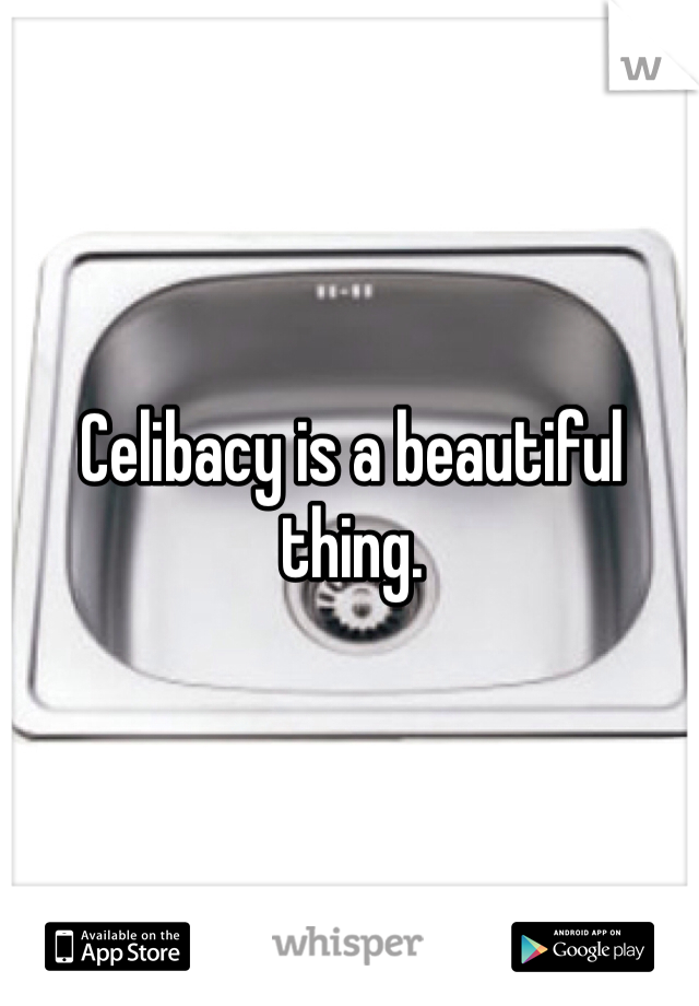 Celibacy is a beautiful thing.