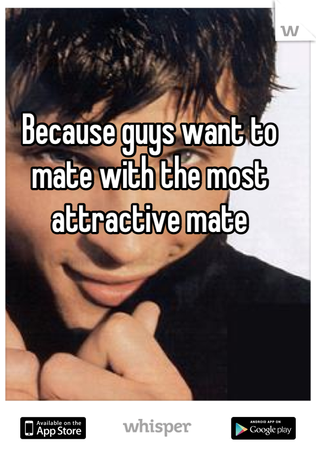 Because guys want to mate with the most attractive mate