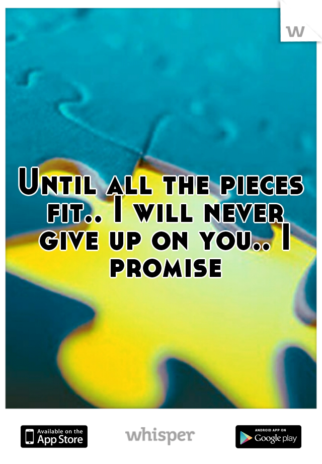 Until all the pieces fit.. I will never give up on you.. I promise