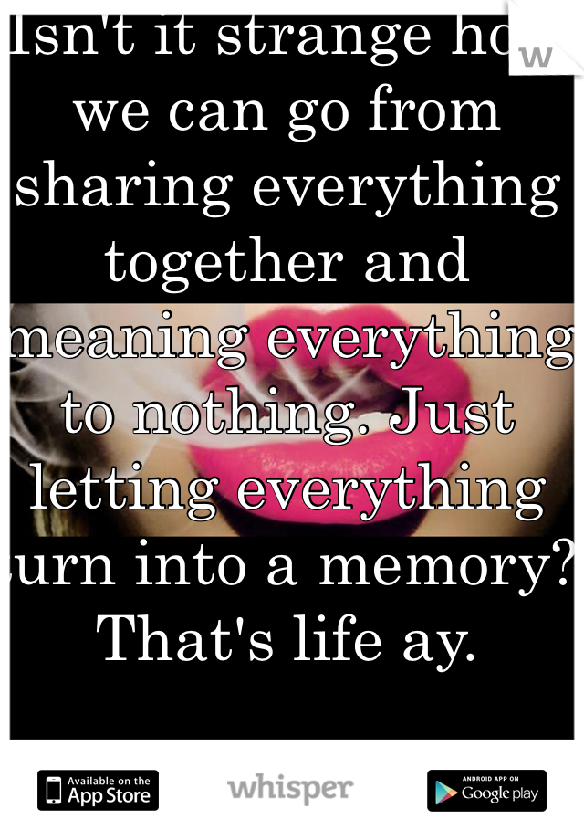 Isn't it strange how we can go from sharing everything together and meaning everything to nothing. Just letting everything turn into a memory? That's life ay.
