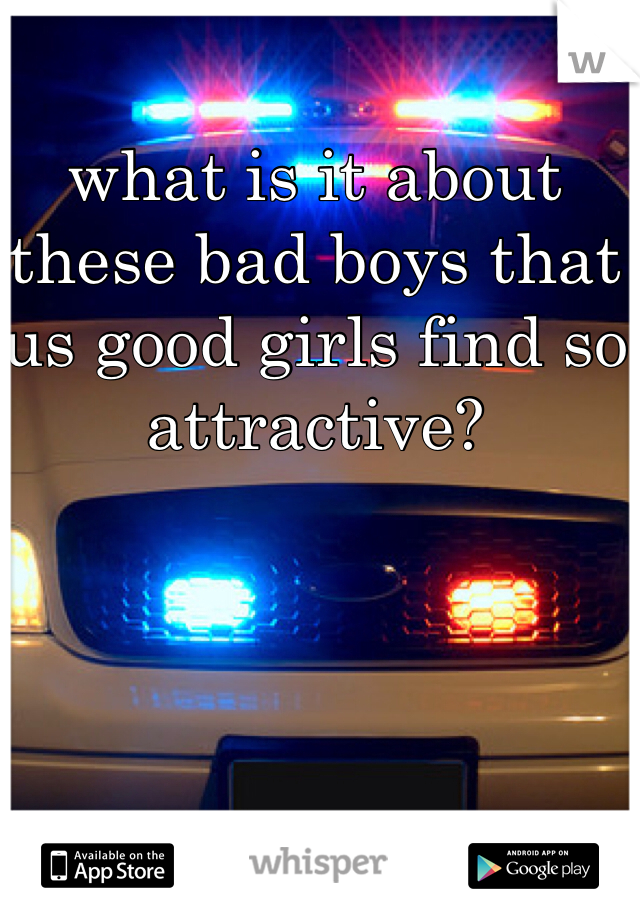 what is it about these bad boys that us good girls find so attractive? 