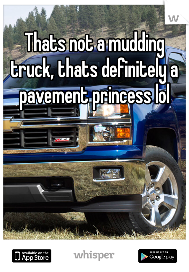 Thats not a mudding truck, thats definitely a pavement princess lol