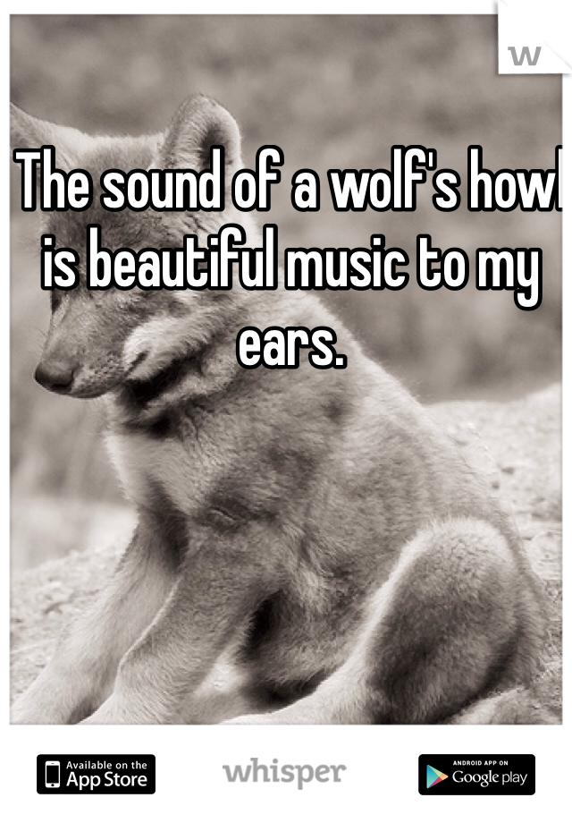 The sound of a wolf's howl is beautiful music to my ears. 