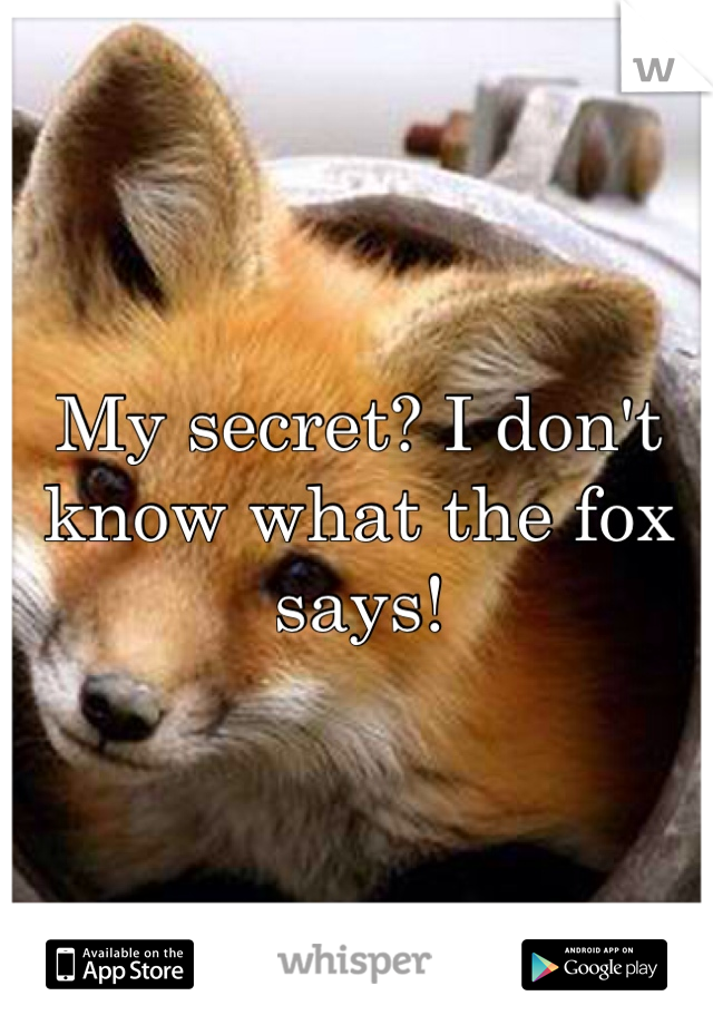 My secret? I don't know what the fox says!