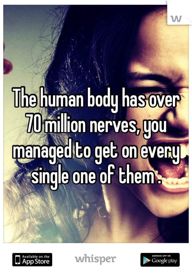 The human body has over 70 million nerves, you managed to get on every single one of them .