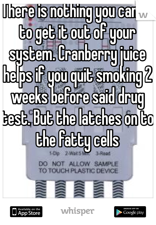 There is nothing you can do to get it out of your system. Cranberry juice helps if you quit smoking 2 weeks before said drug test. But the latches on to the fatty cells