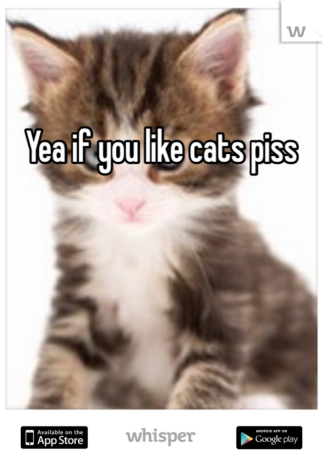 Yea if you like cats piss