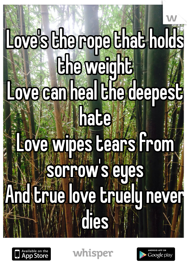 Love's the rope that holds the weight
Love can heal the deepest hate
Love wipes tears from sorrow's eyes
And true love truely never dies