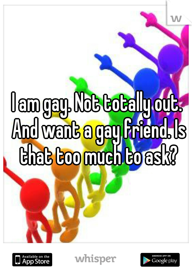 I am gay. Not totally out. And want a gay friend. Is that too much to ask?