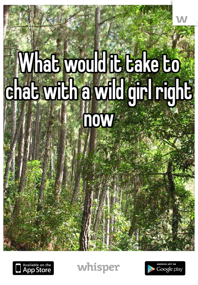 What would it take to chat with a wild girl right now 