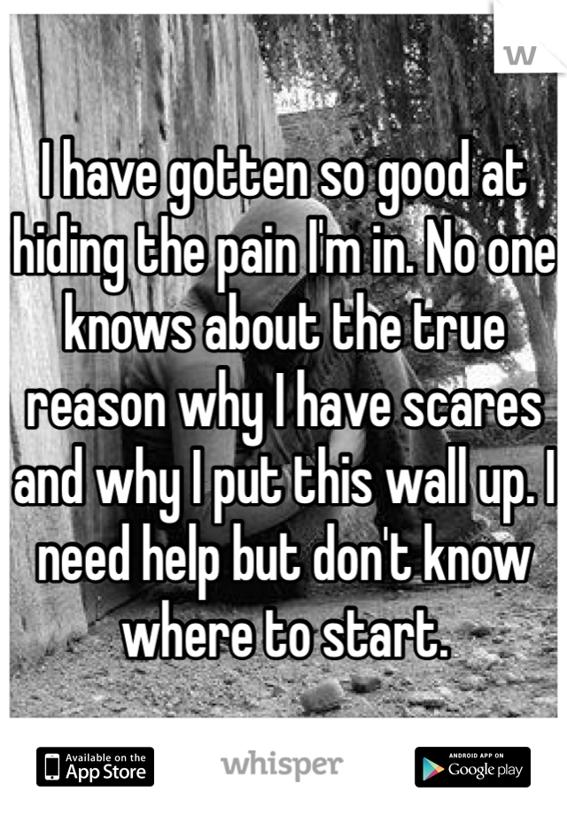 I have gotten so good at hiding the pain I'm in. No one knows about the true reason why I have scares and why I put this wall up. I need help but don't know where to start. 