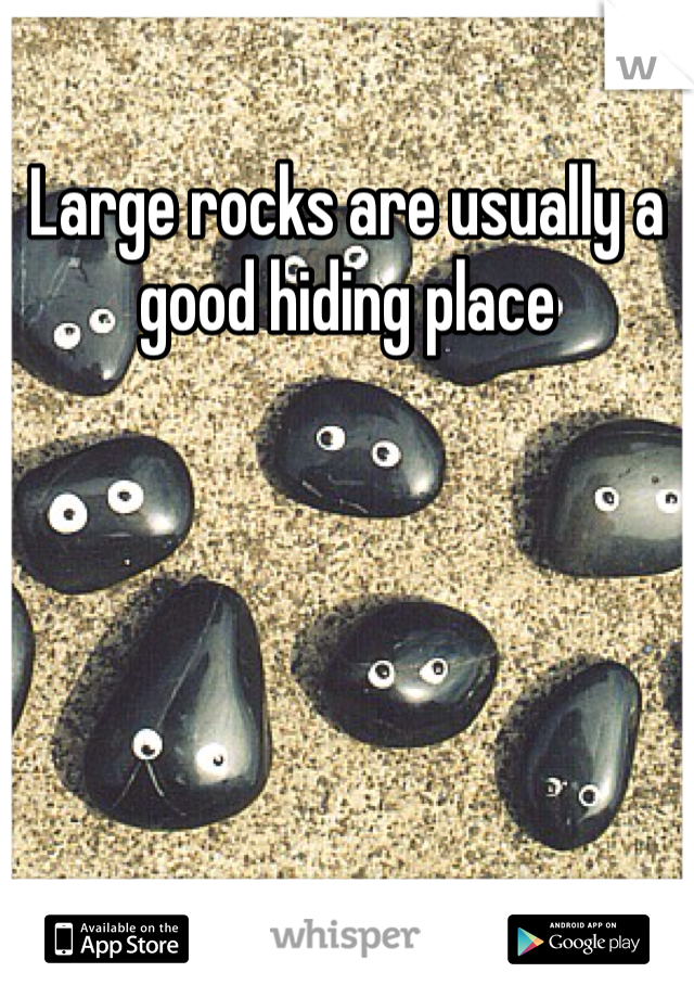 Large rocks are usually a good hiding place