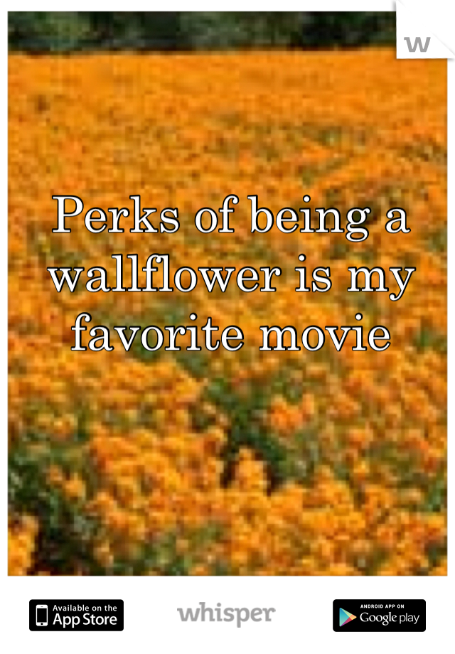 Perks of being a wallflower is my favorite movie 
