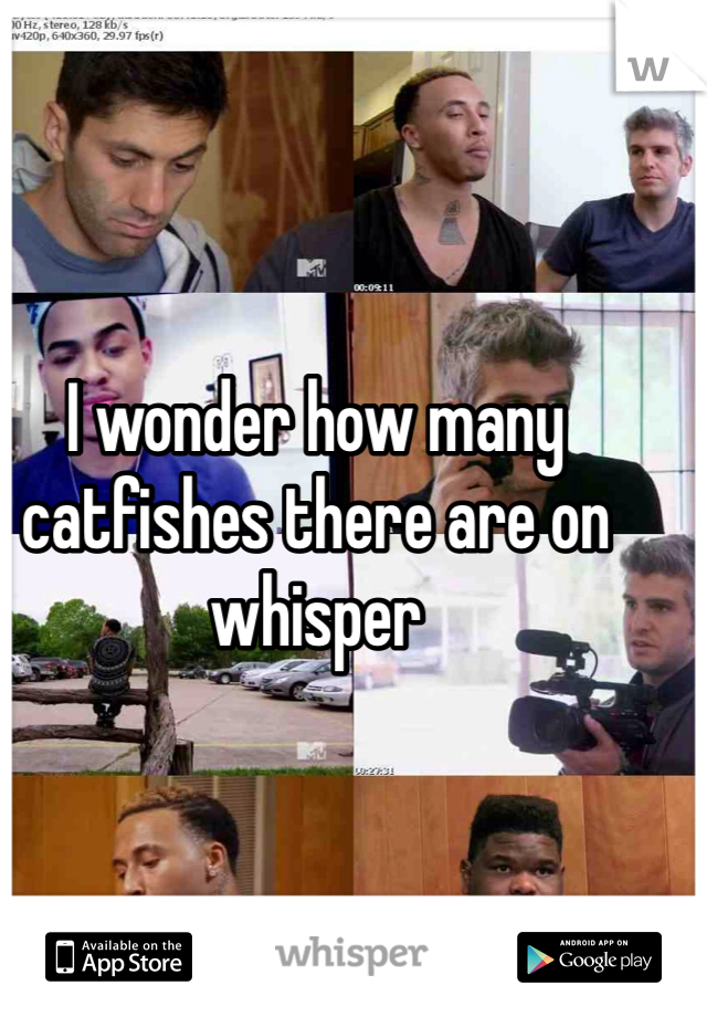 I wonder how many catfishes there are on whisper 