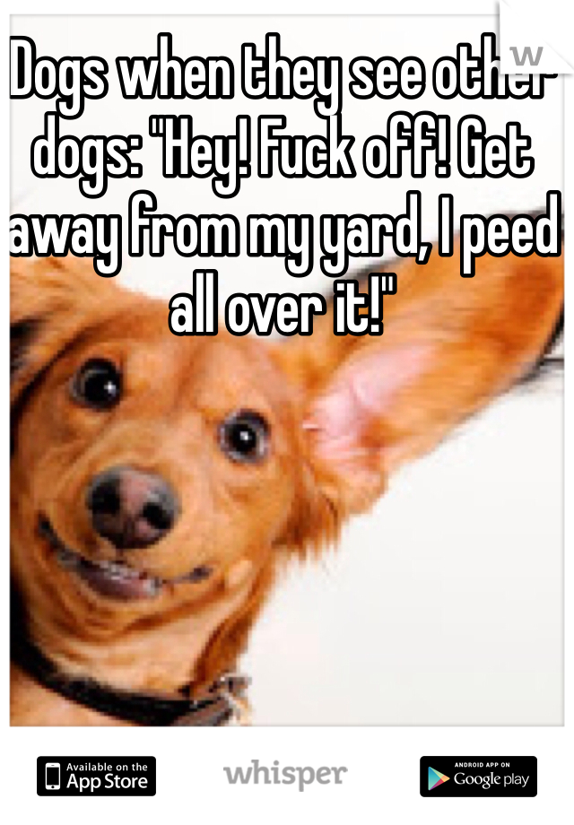 Dogs when they see other dogs: "Hey! Fuck off! Get away from my yard, I peed all over it!" 