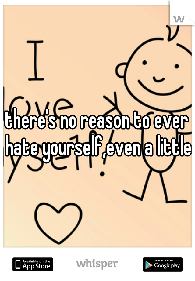 there's no reason to ever hate yourself,even a little