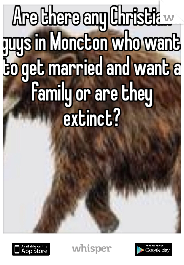 Are there any Christian guys in Moncton who want to get married and want a family or are they extinct? 
