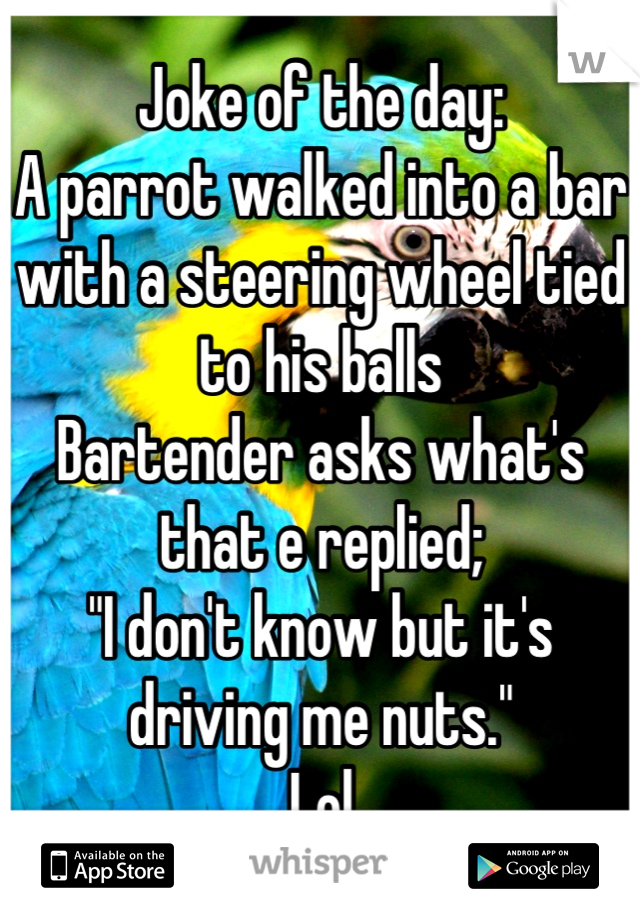 Joke of the day:
A parrot walked into a bar with a steering wheel tied to his balls 
Bartender asks what's that e replied;
"I don't know but it's driving me nuts."
Lol