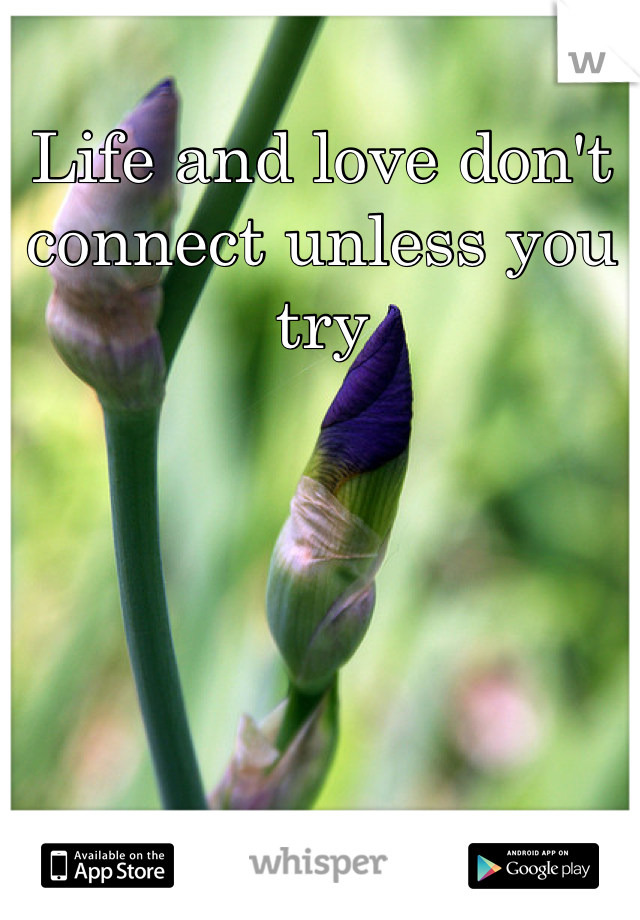 Life and love don't connect unless you try