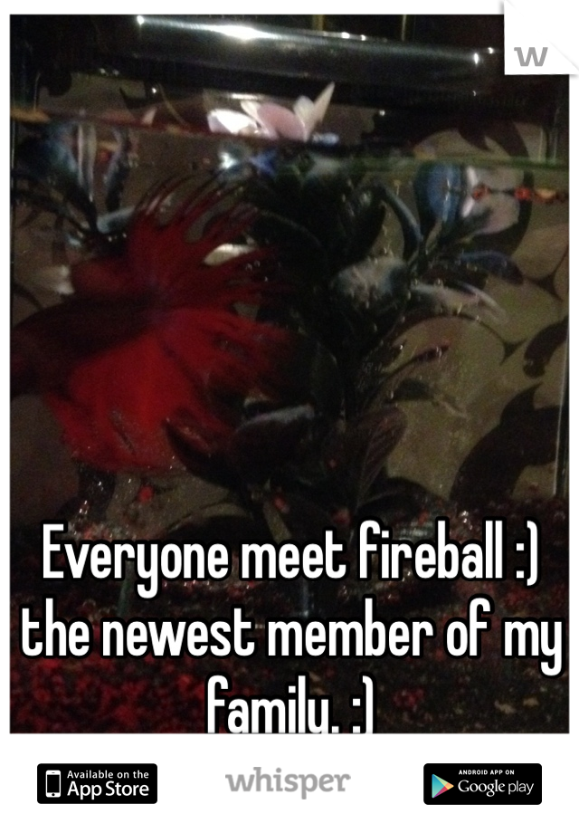 Everyone meet fireball :) the newest member of my family. :)