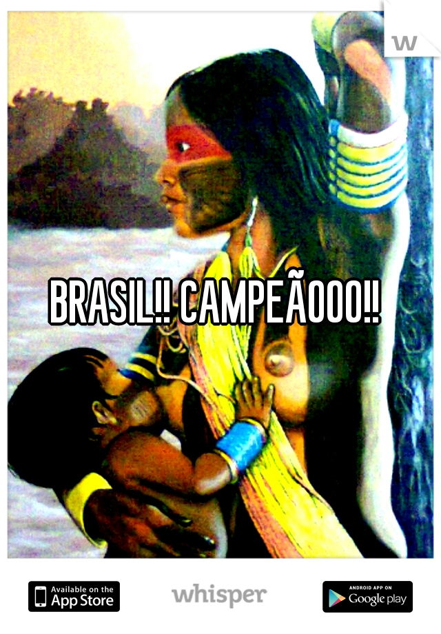 BRASIL!! CAMPEÃOOO!!