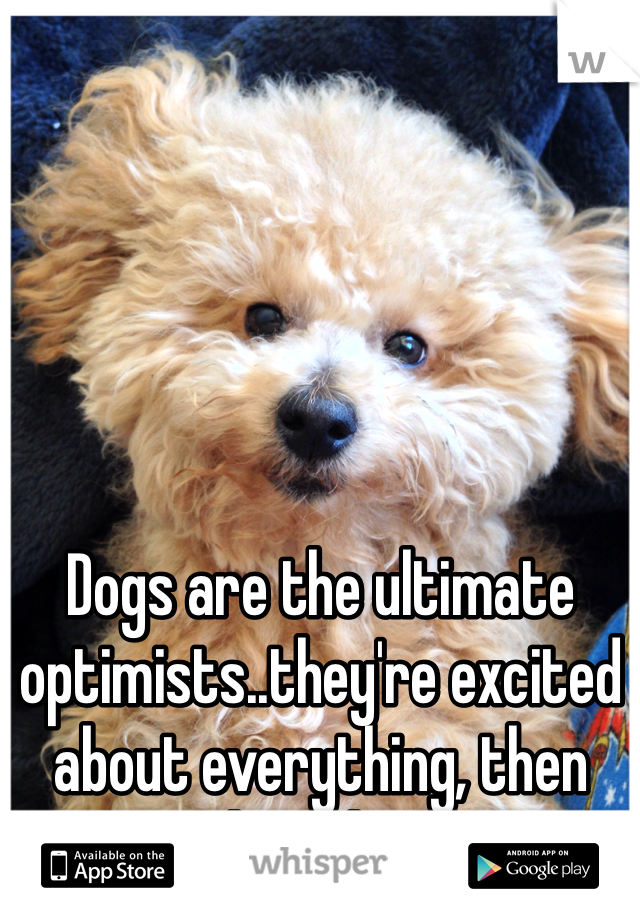 Dogs are the ultimate optimists..they're excited about everything, then they sleep