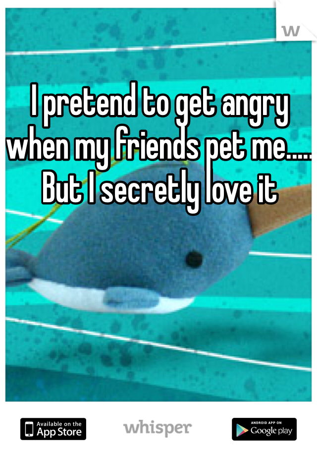I pretend to get angry when my friends pet me..... But I secretly love it 