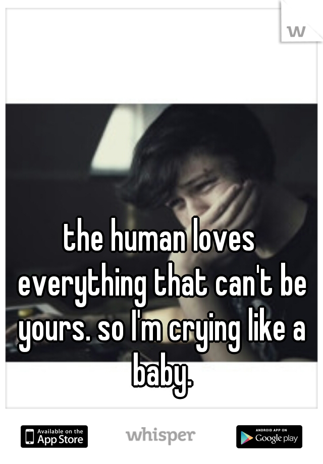 the human loves everything that can't be yours. so I'm crying like a baby.