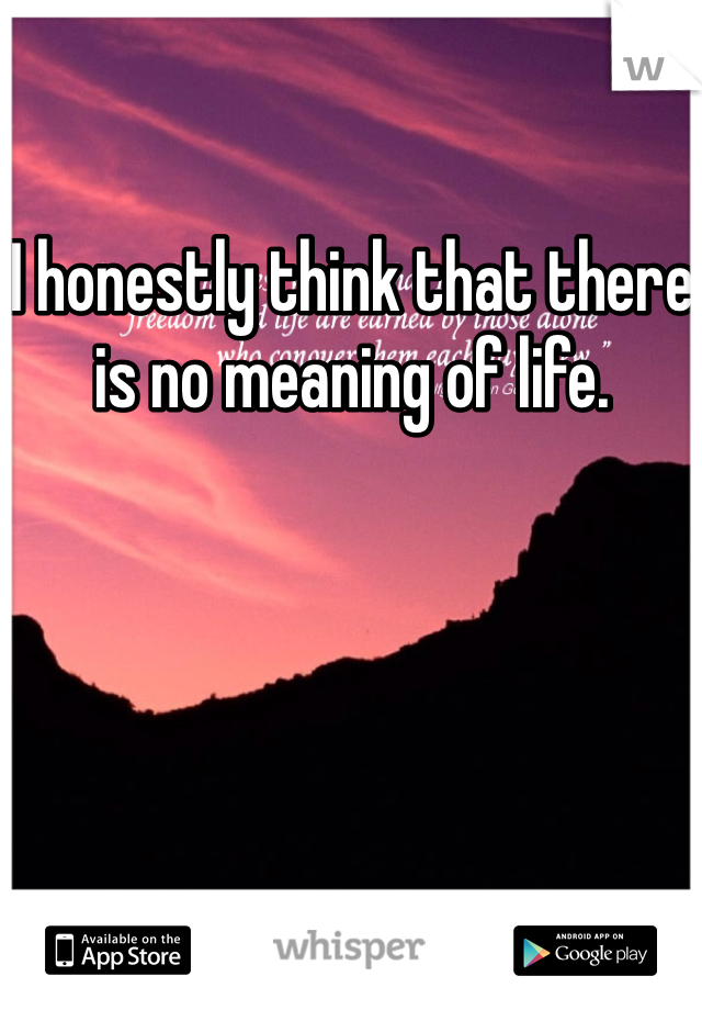 I honestly think that there is no meaning of life.