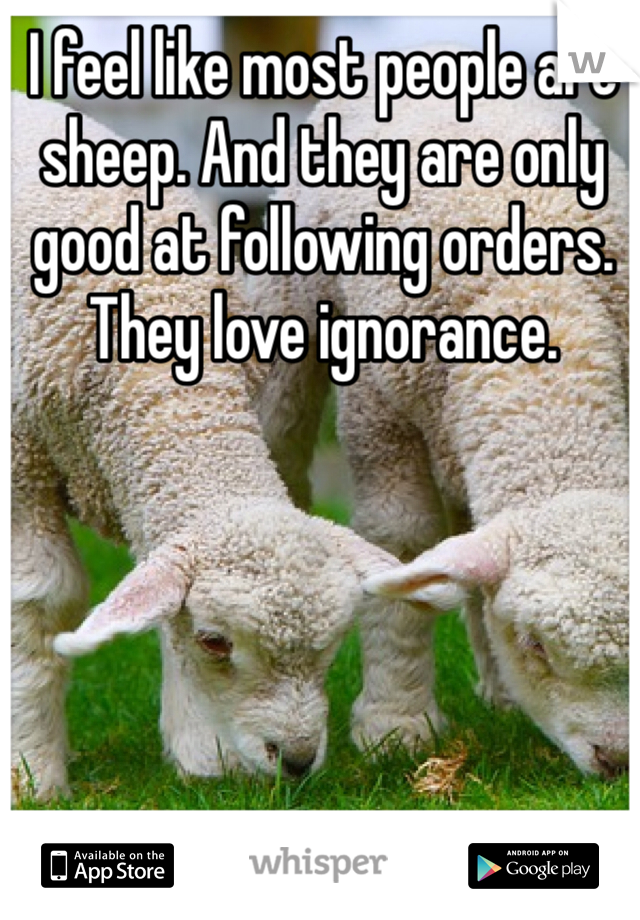 I feel like most people are sheep. And they are only good at following orders. They love ignorance.