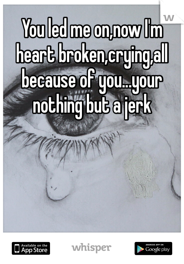 You led me on,now I'm heart broken,crying,all because of you...your nothing but a jerk