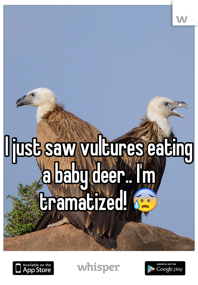 I just saw vultures eating a baby deer.. I'm tramatized! 😰