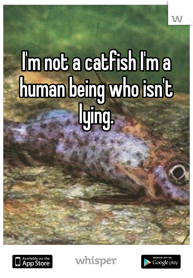 I'm not a catfish I'm a human being who isn't lying. 