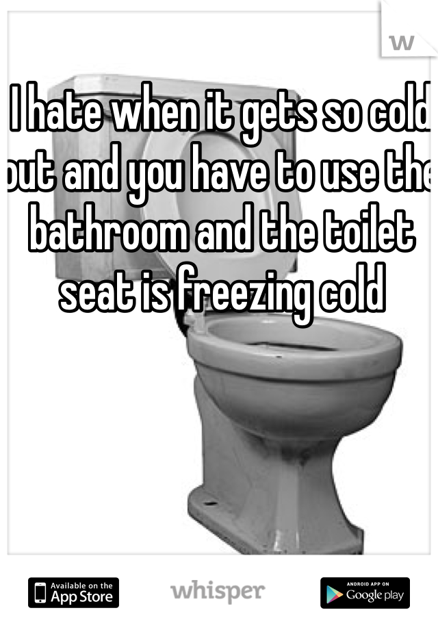 I hate when it gets so cold out and you have to use the bathroom and the toilet seat is freezing cold