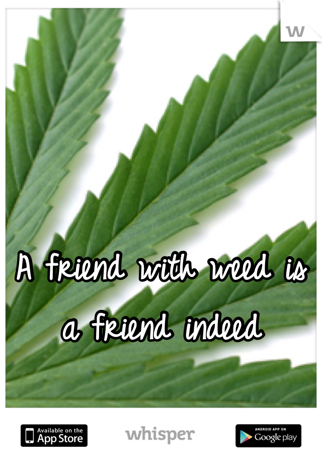 



A friend with weed is a friend indeed 