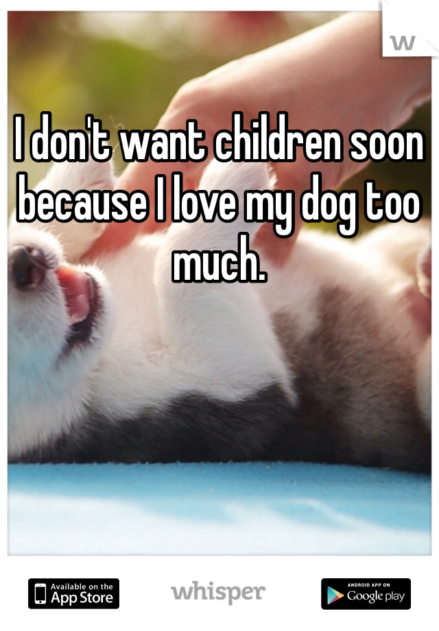 I don't want children soon because I love my dog too much. 