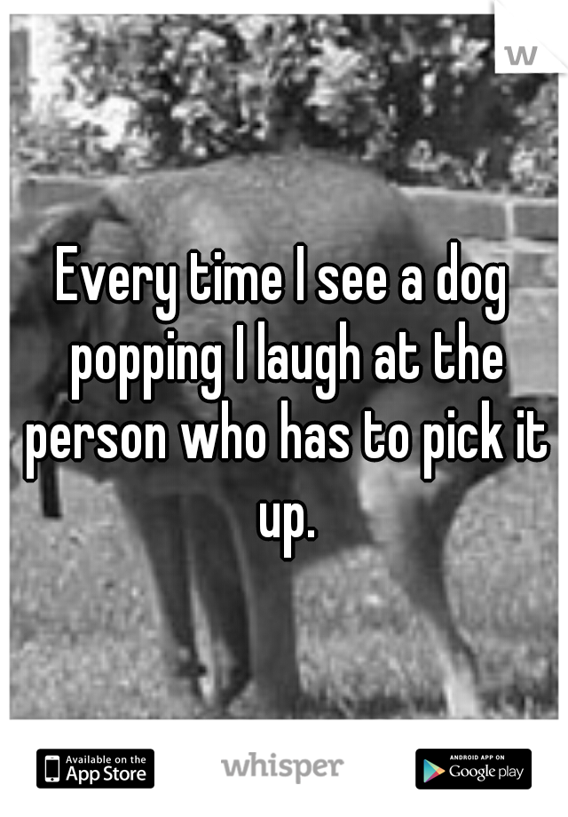 Every time I see a dog popping I laugh at the person who has to pick it up.
